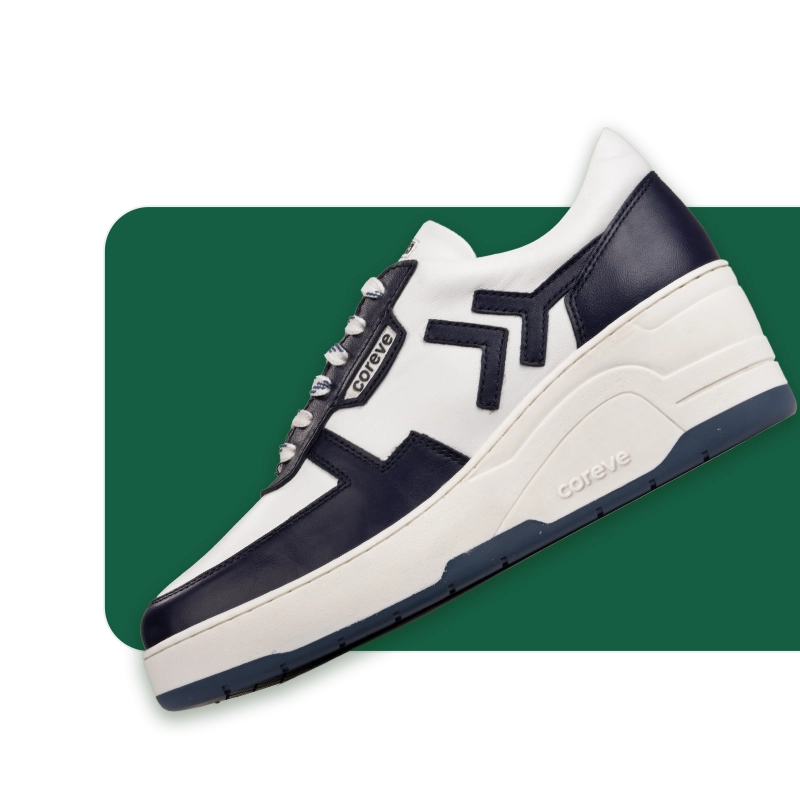 Nyro Eclipse Coreve Lifestyle Pvt. Ltd