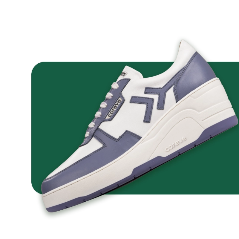 Ventra Blue Granite Coreve Lifestyle Pvt. Ltd