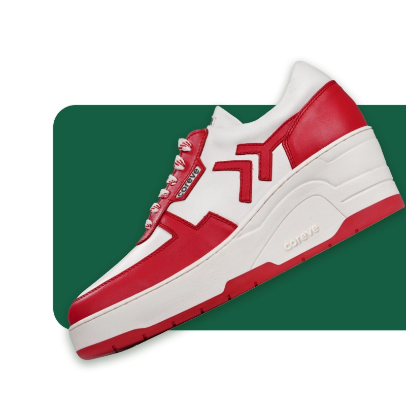 Zivana Winterberry Coreve Lifestyle Pvt. Ltd